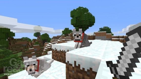 Minecraft