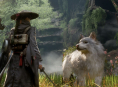 Beast of Reincarnation ha aree esplorabili, ma non un mondo aperto