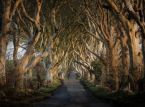 Il governo irlandese potrebbe tagliare le famose Dark Hedges di Game of Thrones