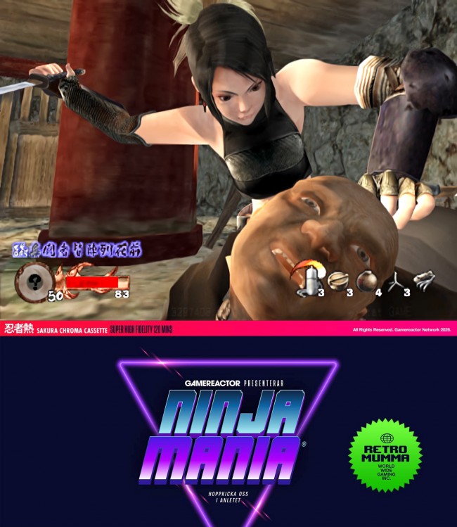I migliori giochi ninja del mondo: Parte 1