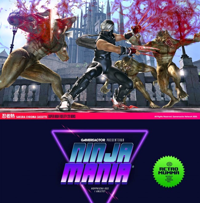I migliori giochi ninja del mondo: Parte 1