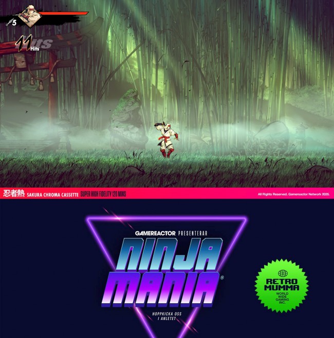 I migliori giochi ninja del mondo: Parte 1