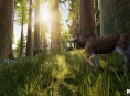 Nuovi screenshot per Hunting Simulator