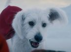 Il cane di Superman aumenta le ricerche di cani da salvataggio di un enorme 513%