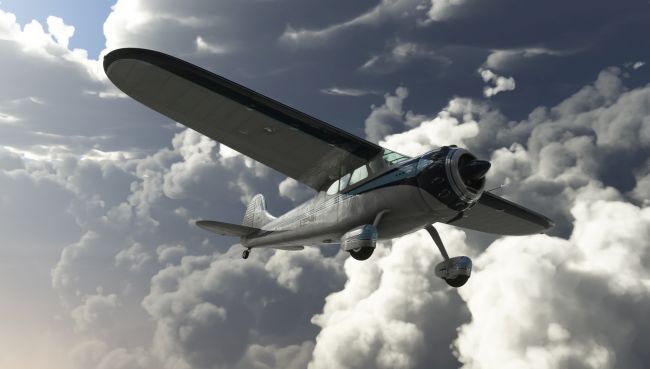 Microsoft Flight Simulator