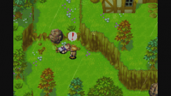 Related Image