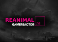Stiamo suonando Reanimal nel GR Live di oggi