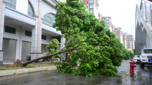 Milioni di persone evacuate in Cina mentre il tifone Bavi tocca terra