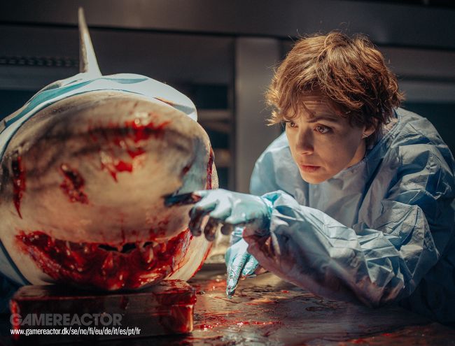 Netflix continua ad andare avanti con Under Paris sequel assicurandosi il regista per un seguito horror-squalo