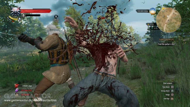 The Witcher 3: Wild Hunt