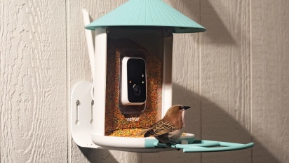 Birdfy vuole rendere l'birdwatching ancora pi&ugrave; intenso